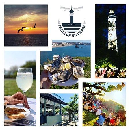 Pavillon Du Phare